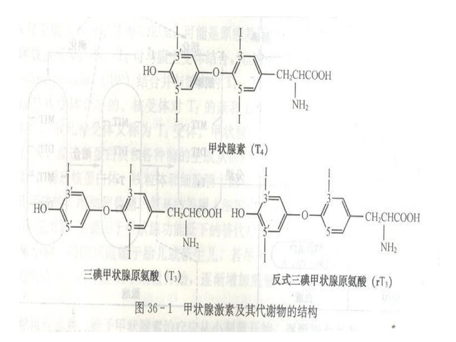 第三十章抗甲状腺药_第5页