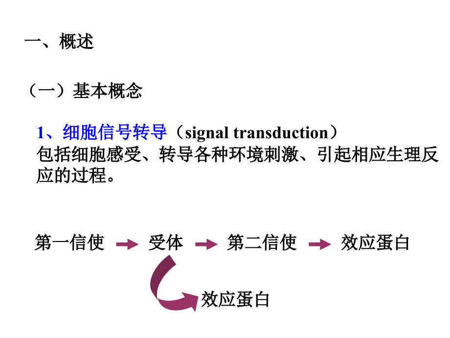 第七章蛋白质的转运与信号传导2_第2页