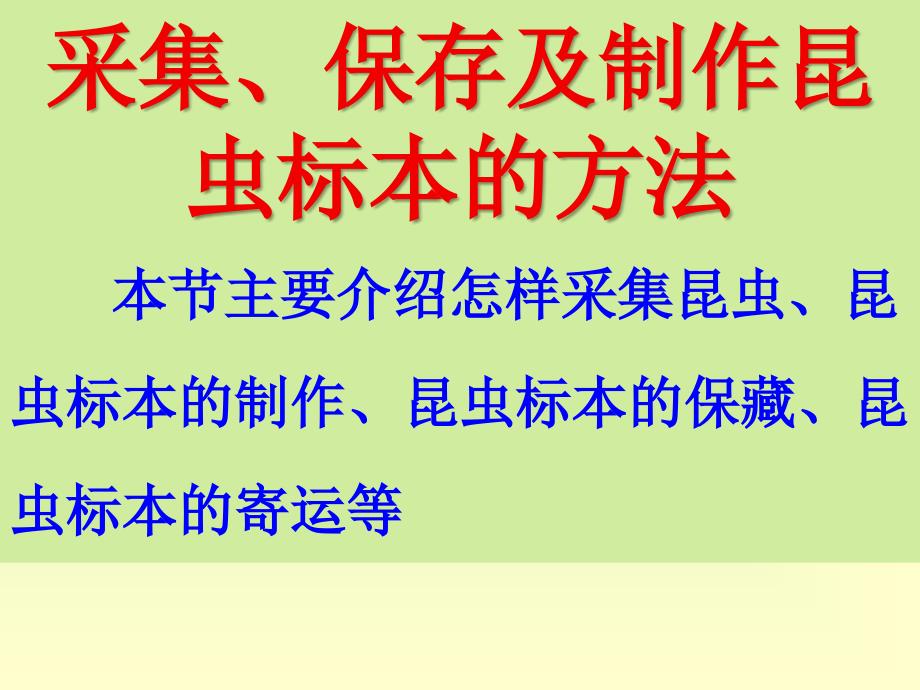 采集、保存、制作昆虫标本的方法_第1页