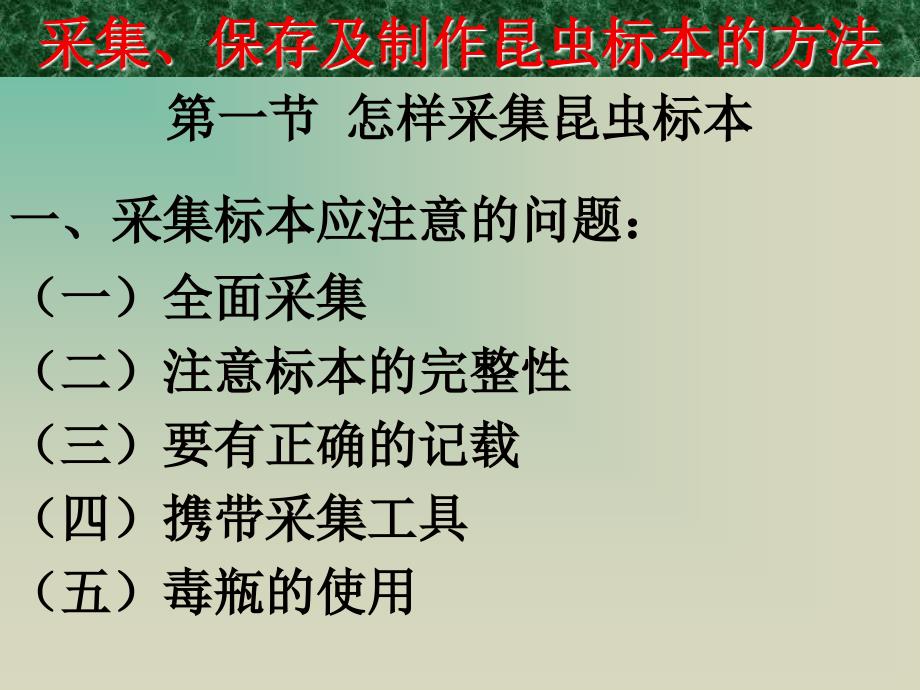 采集、保存、制作昆虫标本的方法_第2页