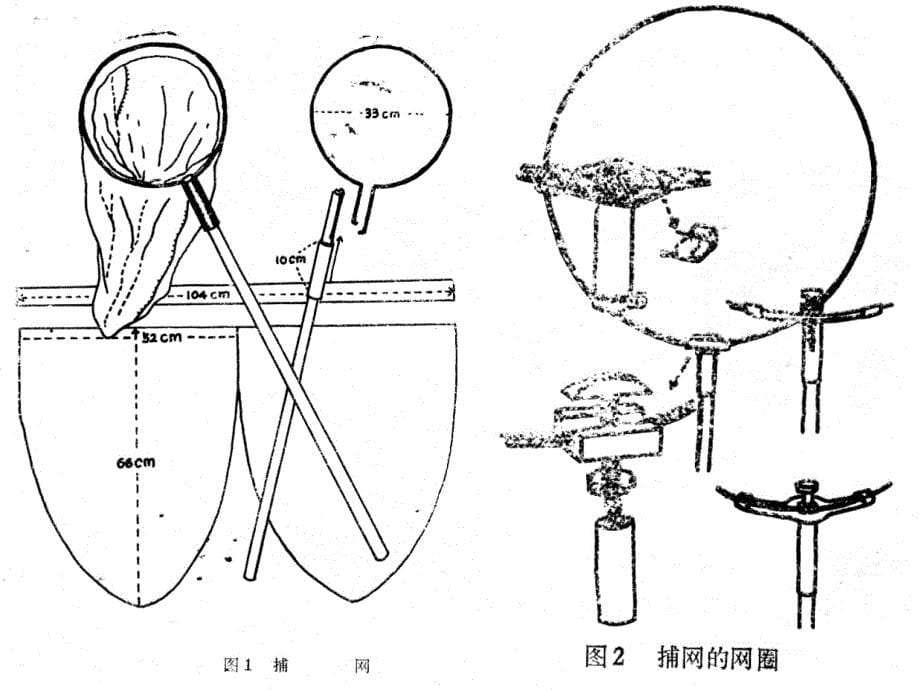 采集、保存、制作昆虫标本的方法_第5页