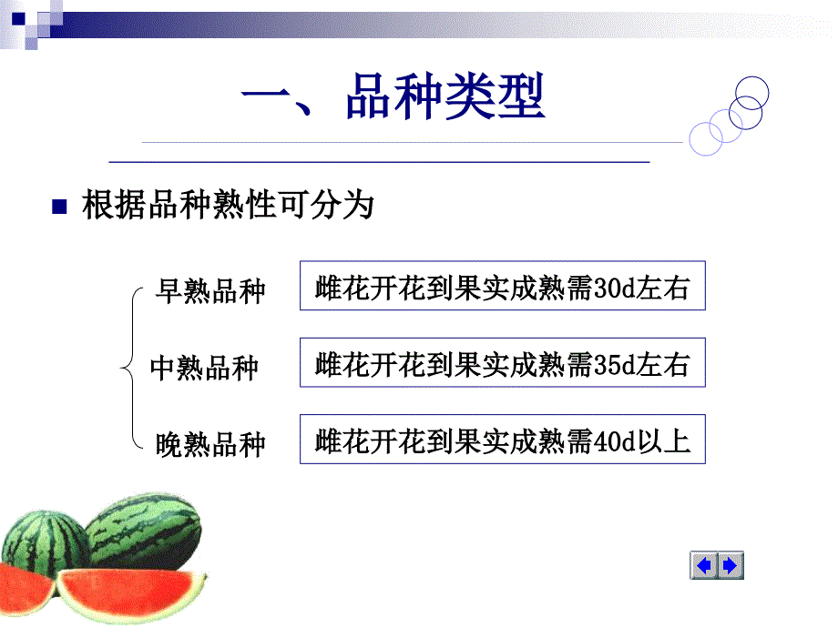 蔬菜栽培学第五章第三节西瓜_第3页