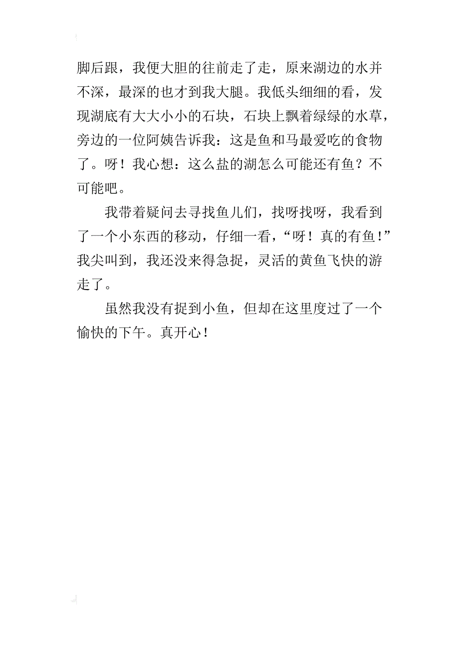 青海湖游记三年级作文300字_第4页