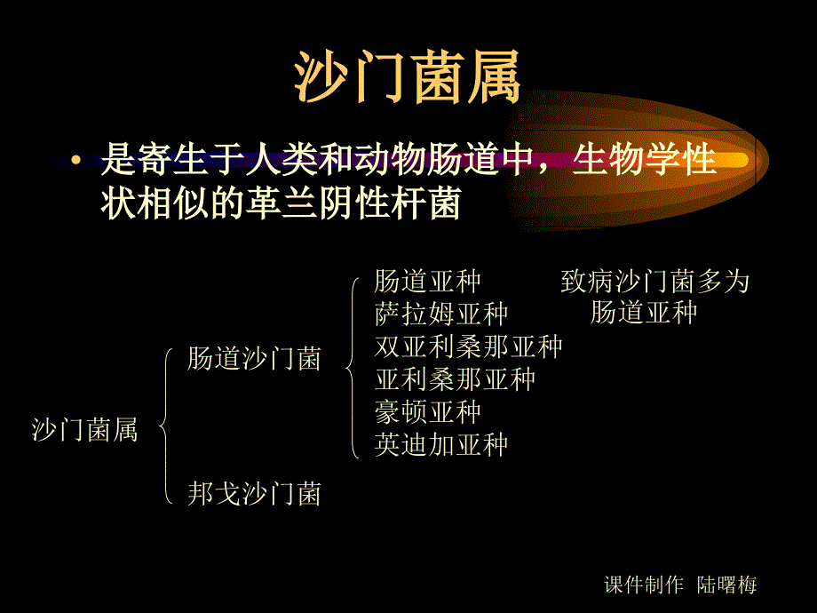 生物课件沙门菌属_第2页