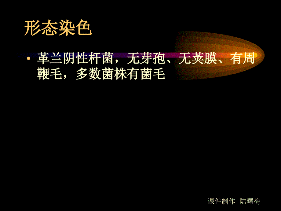 生物课件沙门菌属_第3页