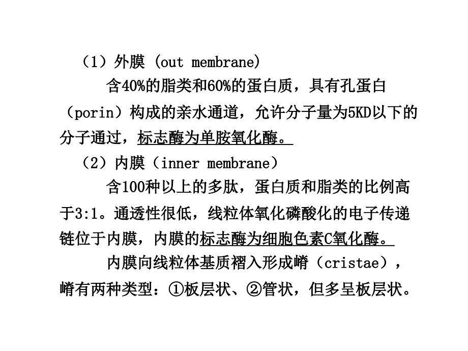 线粒体到微丝_第3页