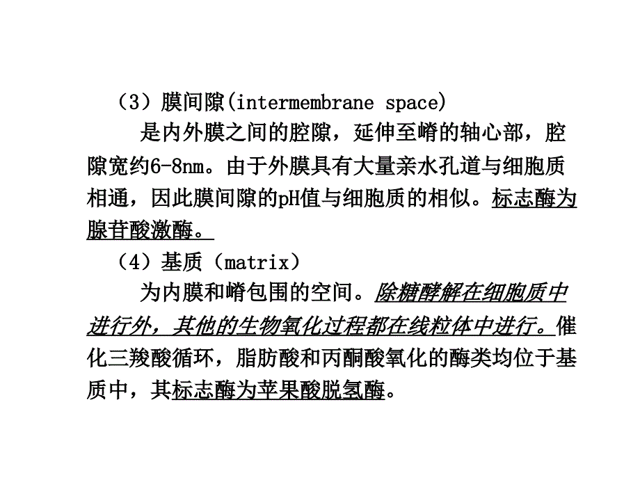 线粒体到微丝_第4页