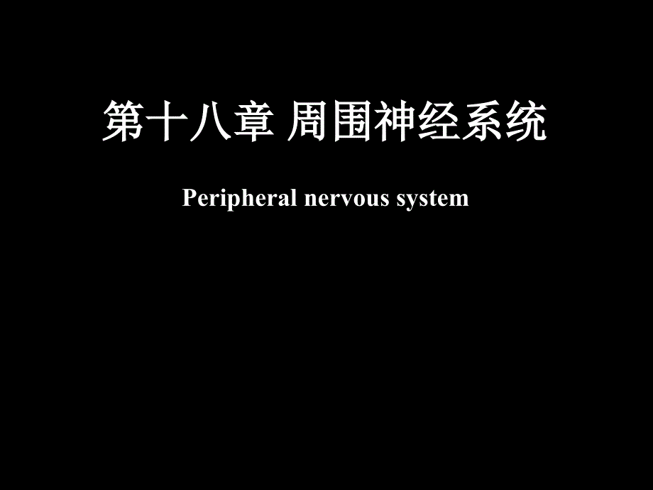 脊神经解剖图_第1页