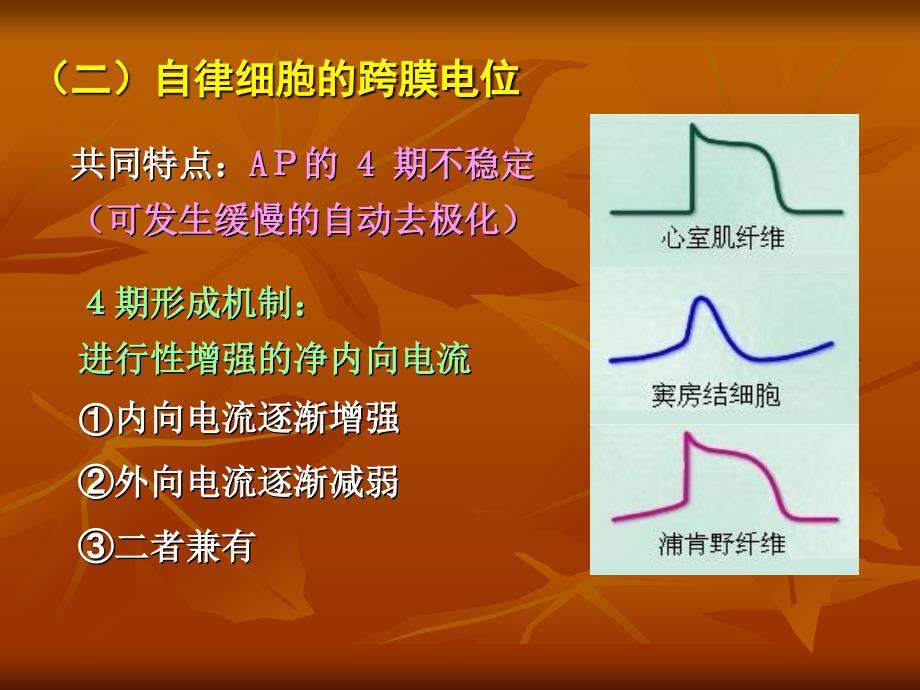 生理血液循环2_第1页