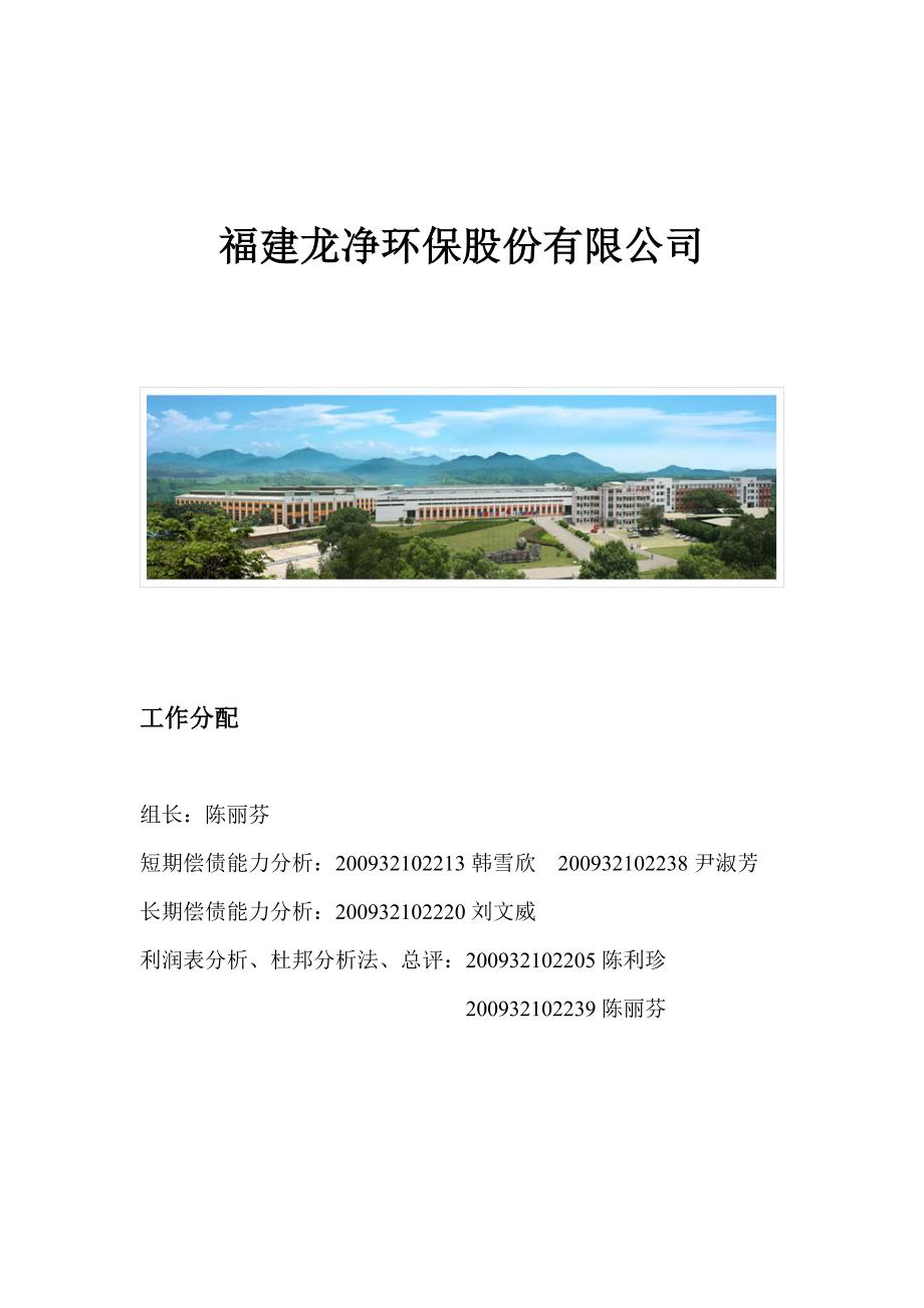 福建龙净财务报告_第1页