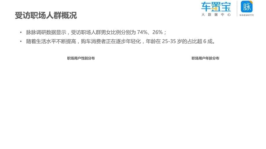 职场人群换车需求分析报告_第5页