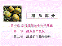 第一章甜瓜栽培的生物学基础第一节甜瓜生产概况第二节