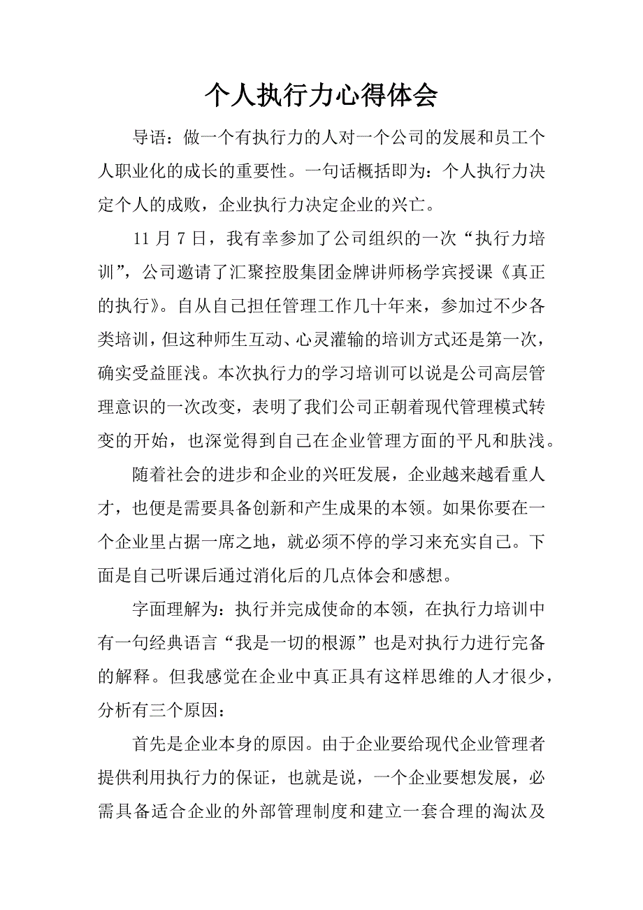 个人执行力心得体会_1.docx_第1页