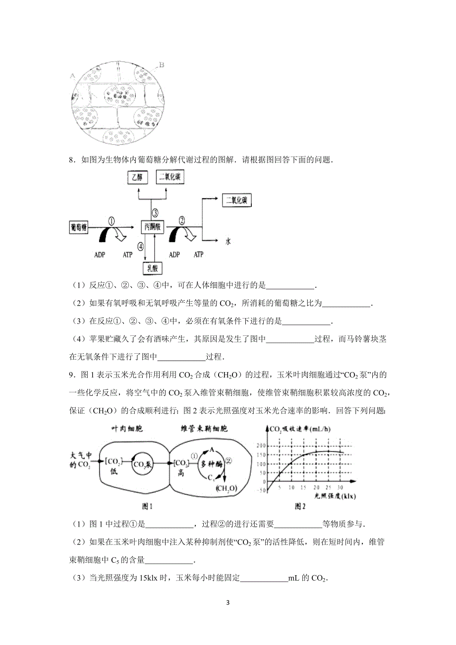 【生物】广东省梅州市梅县东山中学2016届高三上学期第二次月考_第3页