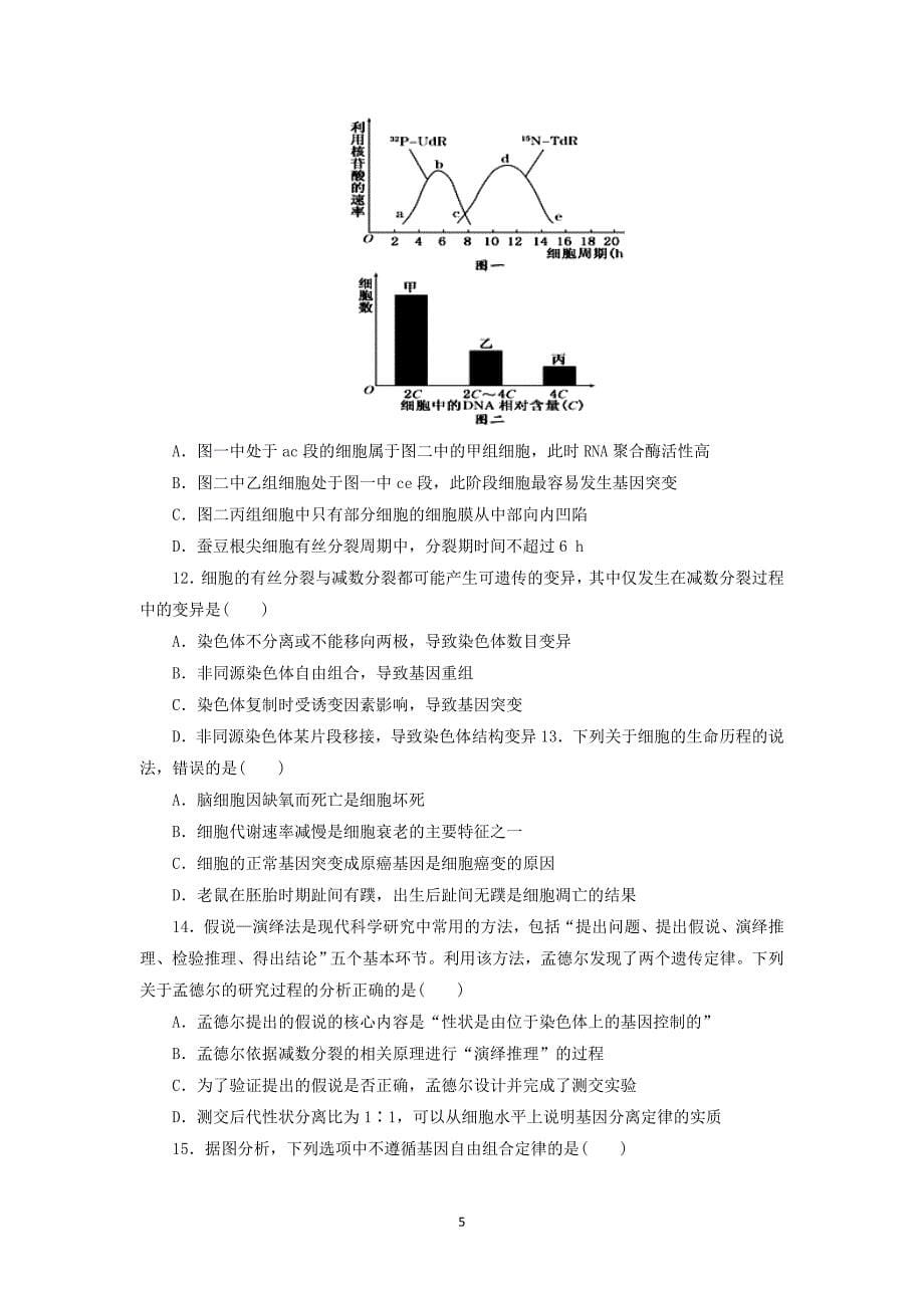 【生物】山东省桓台县第二中学2015届高三12月月考_第5页