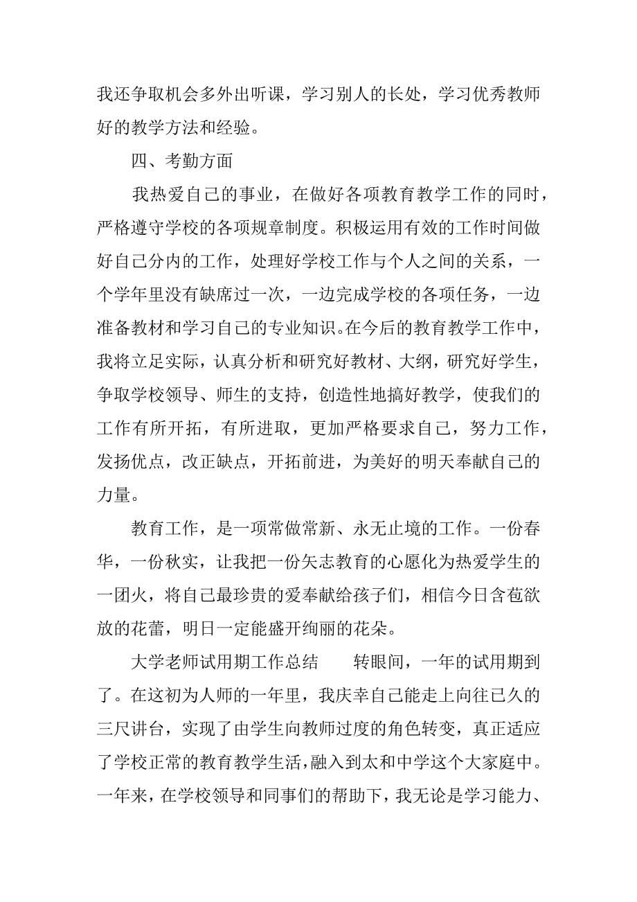 xx大学老师试用期工作总结.docx_第5页