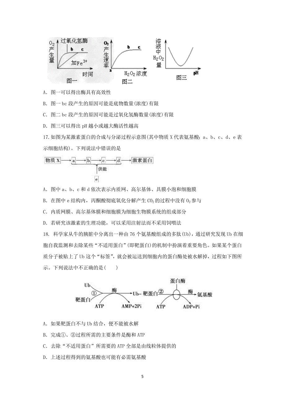 【生物】上海市宝山区行知中学2015届高三上学期第一次月考_第5页