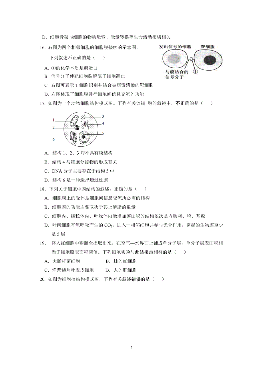 【生物】吉林省松原市扶余市第一中学2016届高三上学期第一次月考_第4页