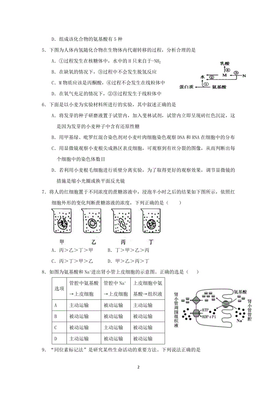 【生物】四川省达州市铭仁园中学2016届高三上学期第一次月考_第2页