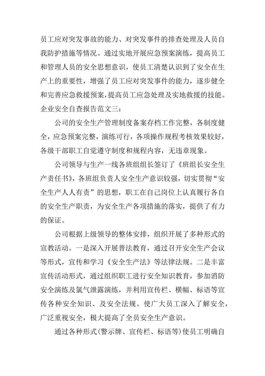 企业安全自查报告.docx_第5页