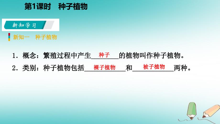 2018年秋七年级科学上册 第2章 观察生物 第5节 常见的植物 2.5.1 种子植物课件 （新版）浙教版_第4页