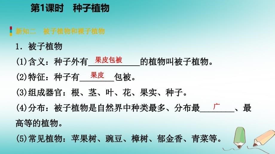 2018年秋七年级科学上册 第2章 观察生物 第5节 常见的植物 2.5.1 种子植物课件 （新版）浙教版_第5页