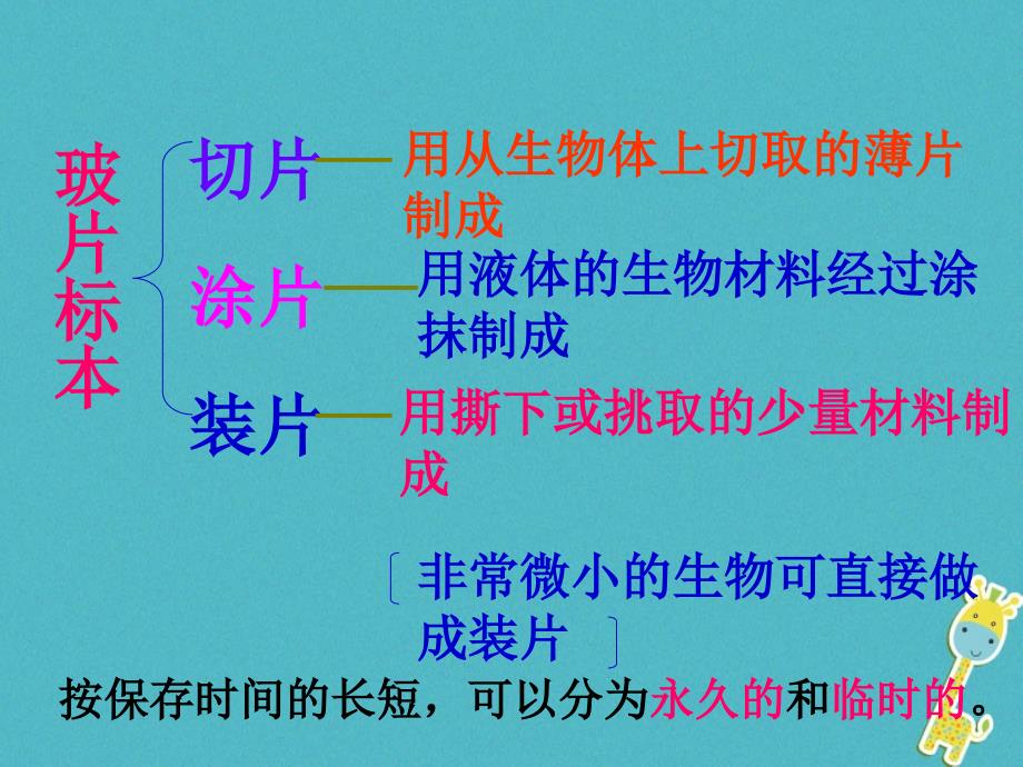 2018年四川省南充市营山县七年级生物上册 2.1.2制作并观察植物细胞临时装片课件 （新版）新人教版_第2页