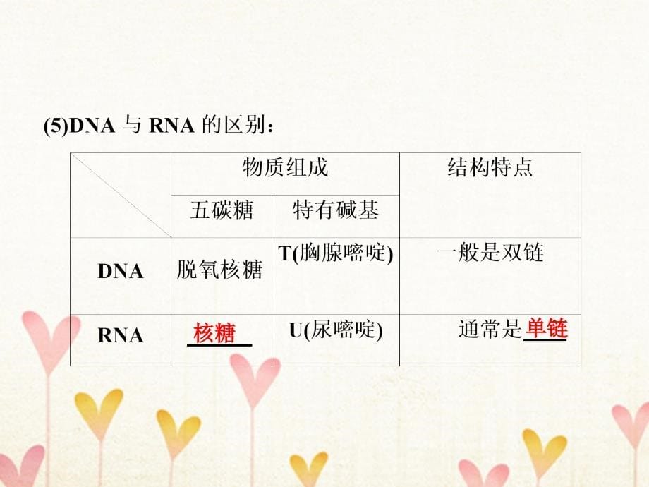 2019届高考生物一轮复习第一部分第五单元遗传的分子基础第16讲基因的表达课件新人教版_第5页