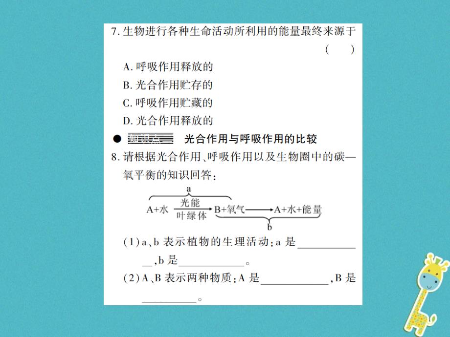 2018年七年级生物上册 第三单元 第五章 第2节 呼吸作用习题课件 （新版）北师大版_第4页