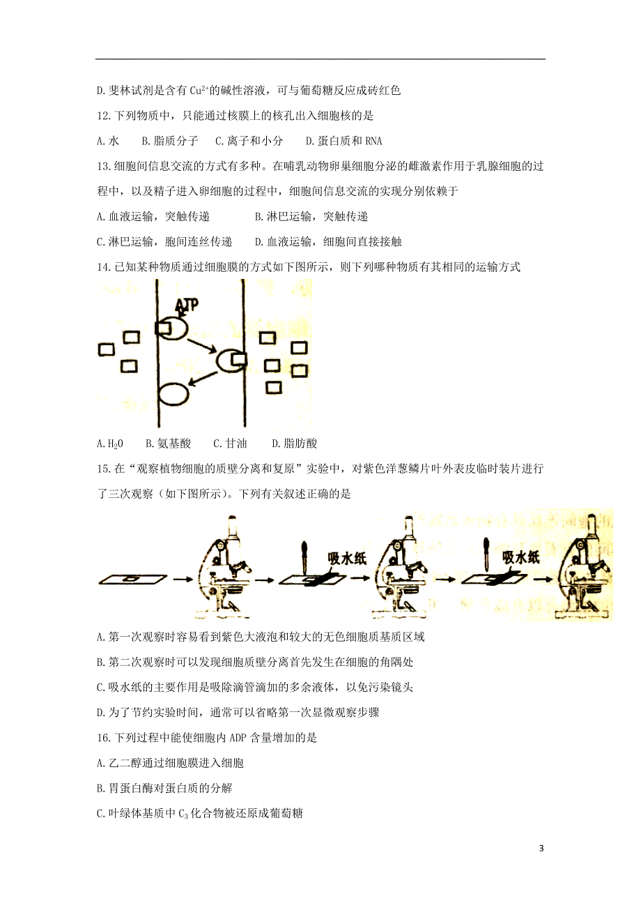 宁夏六盘山高级中学2018版高三生物上学期期中试题_第3页