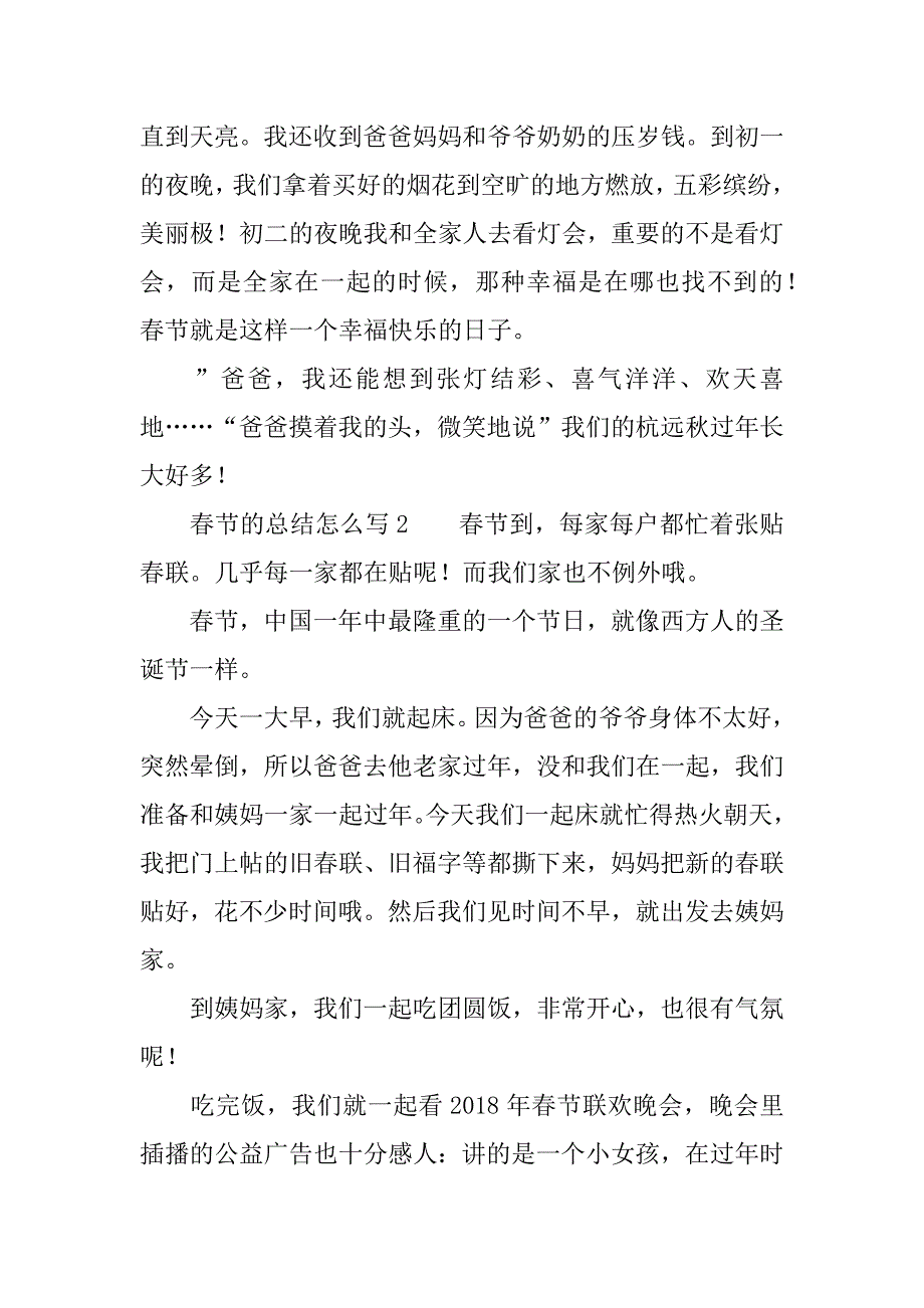 春节的总结怎么写.docx_第2页