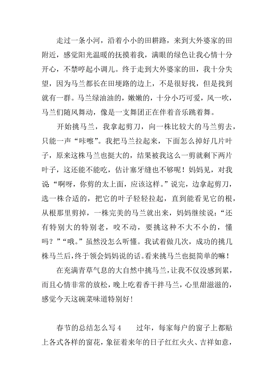 春节的总结怎么写.docx_第4页