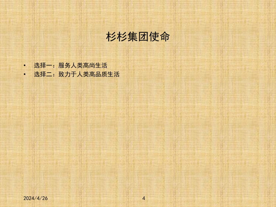 中国杉杉集团有限公司2003－发展战略报告_第4页