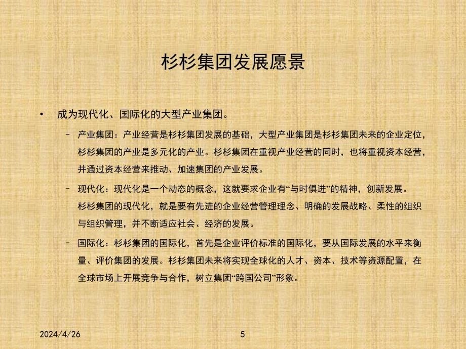 中国杉杉集团有限公司2003－发展战略报告_第5页