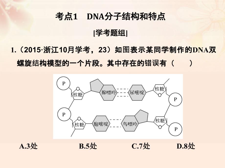 高考生物总复习 专题 遗传的分子基础 第讲 DNA分子的结构与复制课件_第2页