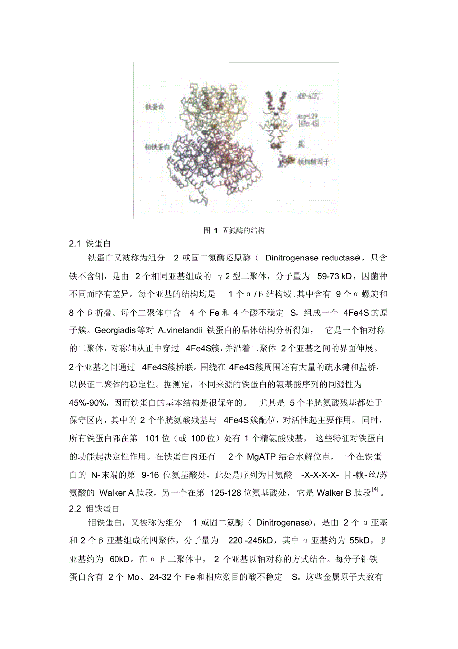 固氮酶的功能与结构_第2页