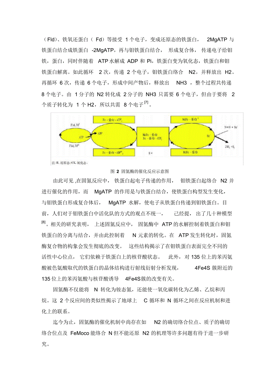 固氮酶的功能与结构_第4页