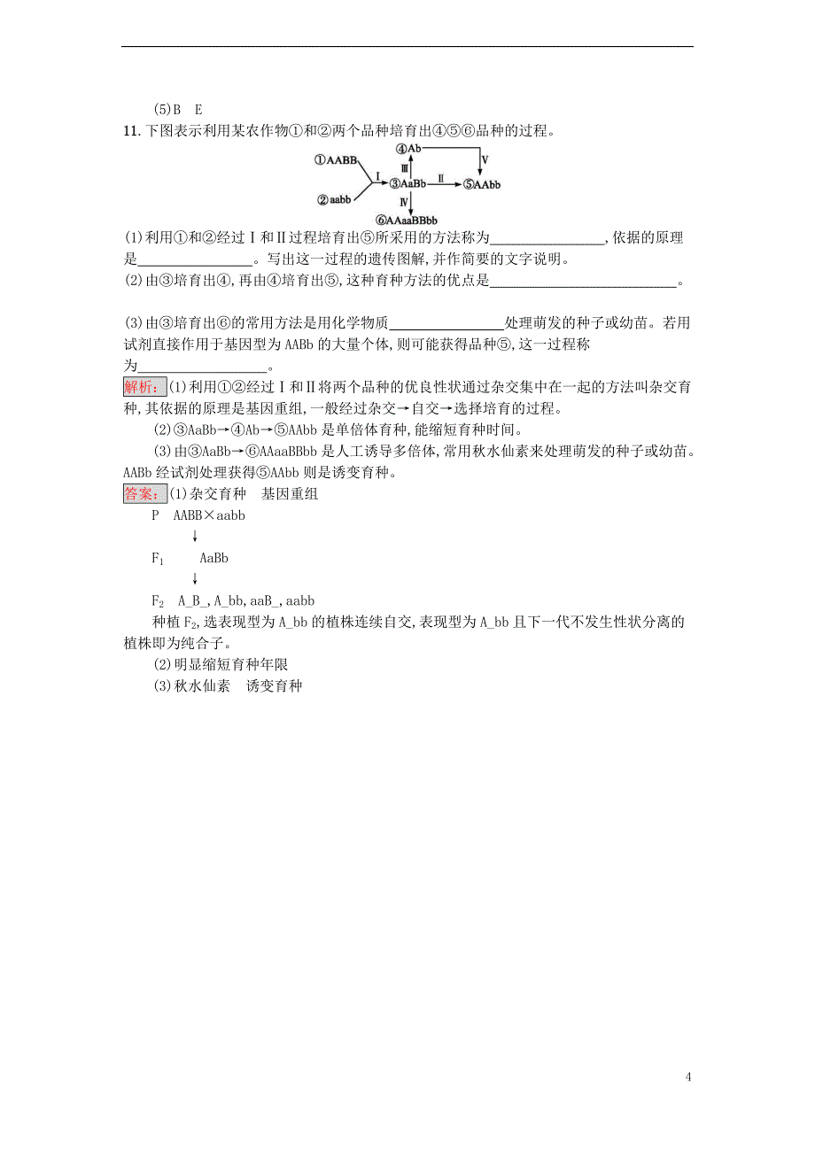 高中生物  从杂交育种到基因工程  杂交育种与诱变育种课时训练 新人教版必修_第4页