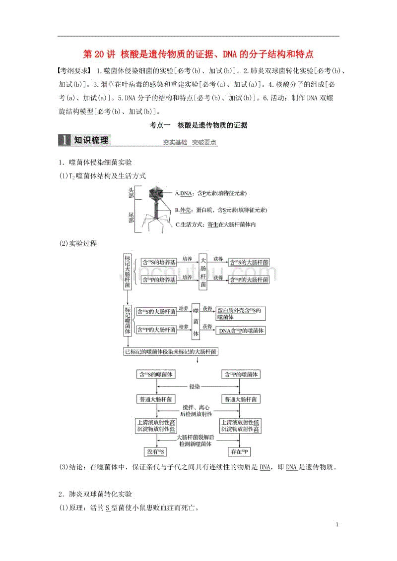 高考生物总复习 第单元 遗传的分子基础 第讲 核酸是遗传物质的证据、DNA的分子结构和特点