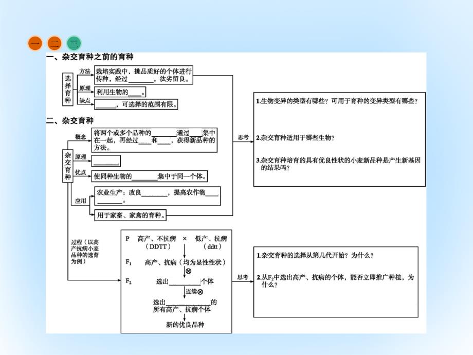 高中生物  从杂交育种到基因工程  杂交育种与诱变育种课件 新人教版必修_第4页