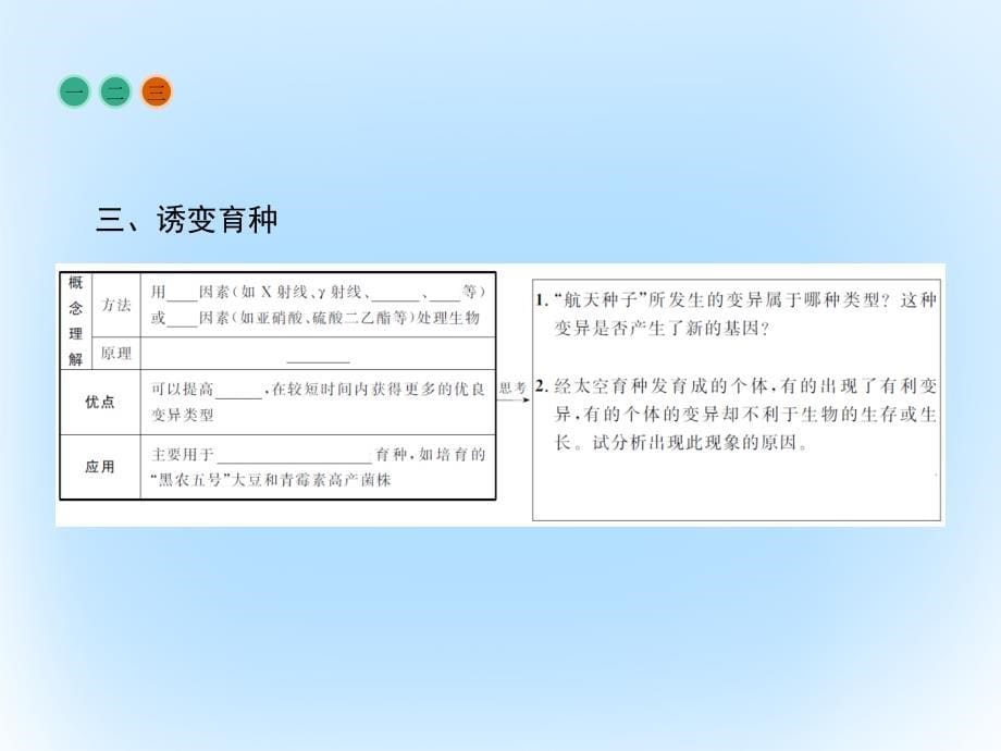 高中生物  从杂交育种到基因工程  杂交育种与诱变育种课件 新人教版必修_第5页