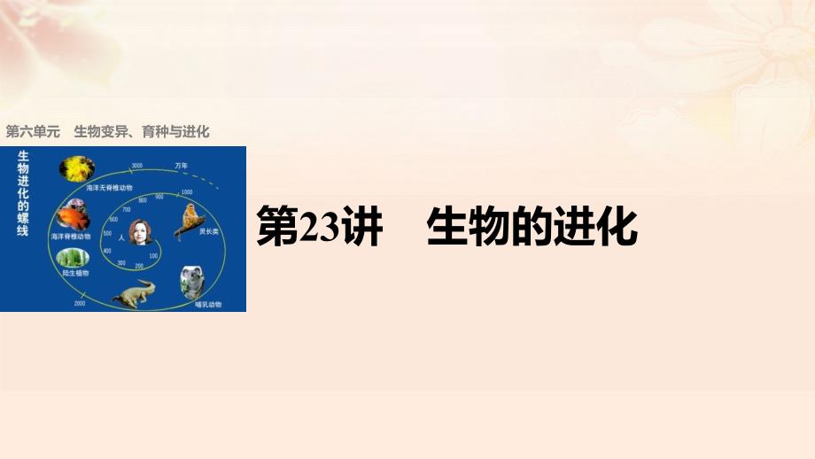 高考生物总复习 第单元 生物变异、育种与进化 第讲 生物的进化课件_第1页