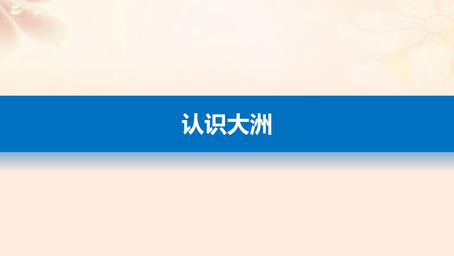 高考地理总复习  区域地理环境与人类活动 第讲 认识大洲课件（必修）_第4页