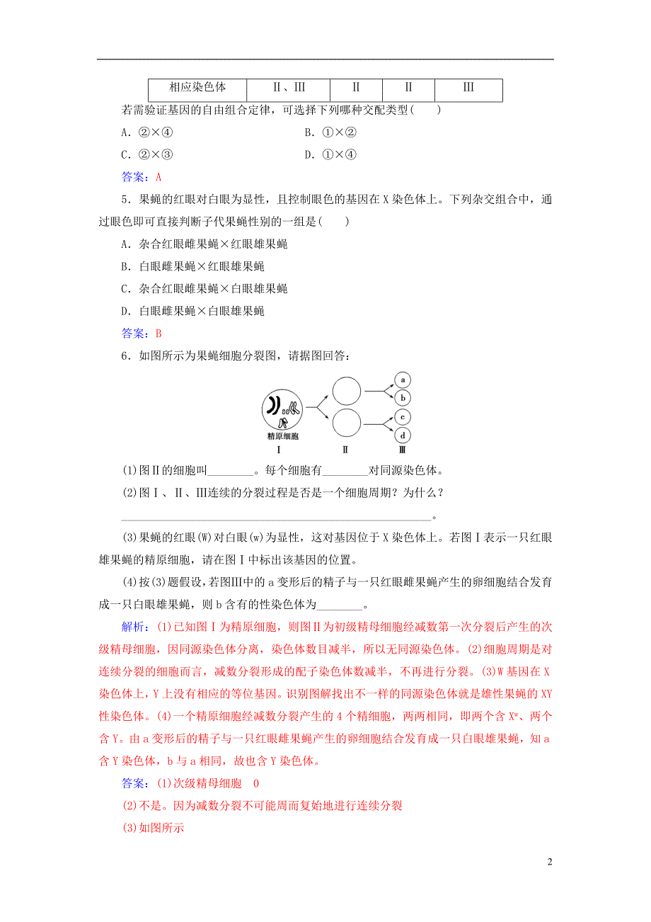 高中生物  基因和染色体的关系  基因在染色体上检测试题 新人教版必修_第2页