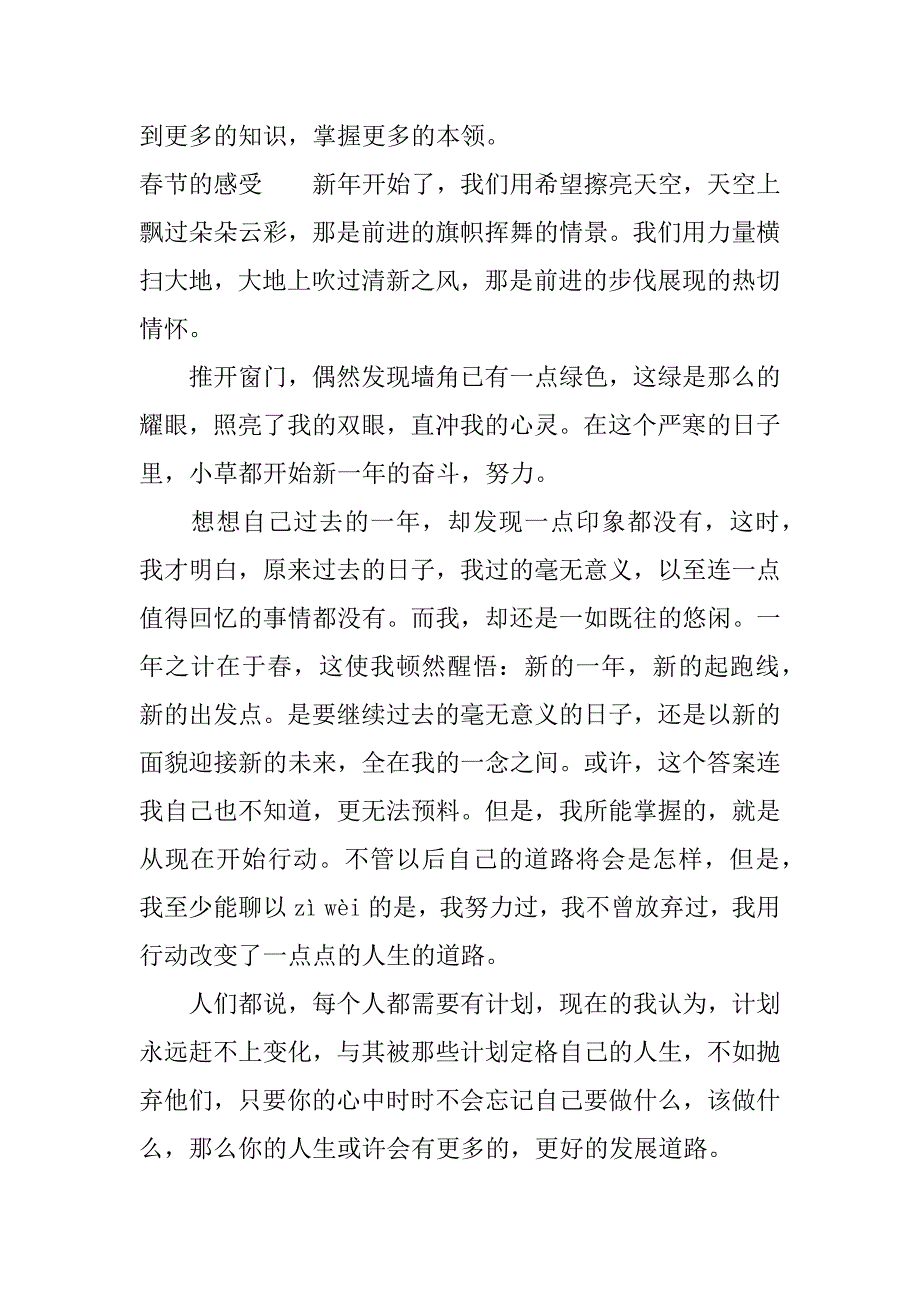 春节的感受作文.docx_第2页