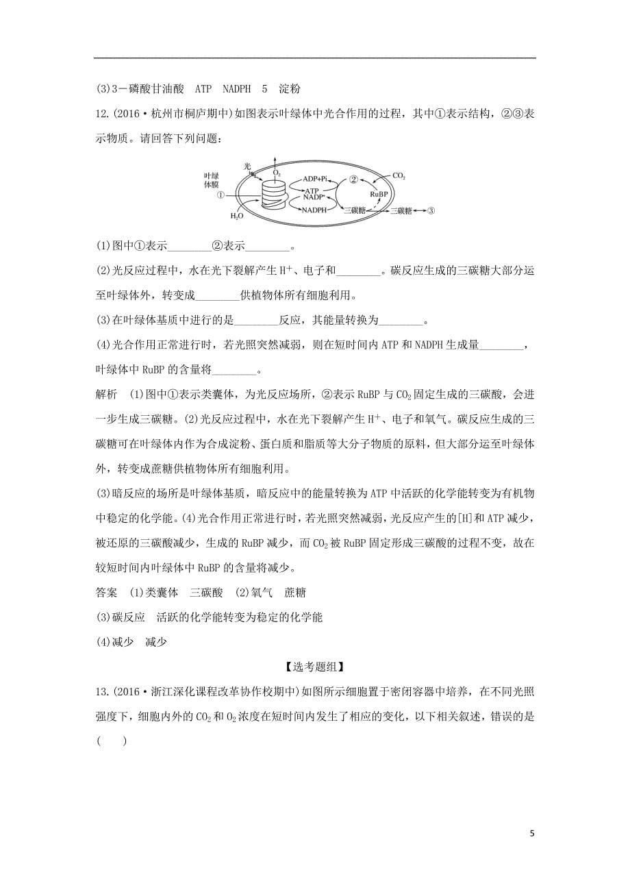 高考生物总复习 专题 细胞代谢 第讲 光合作用_第5页