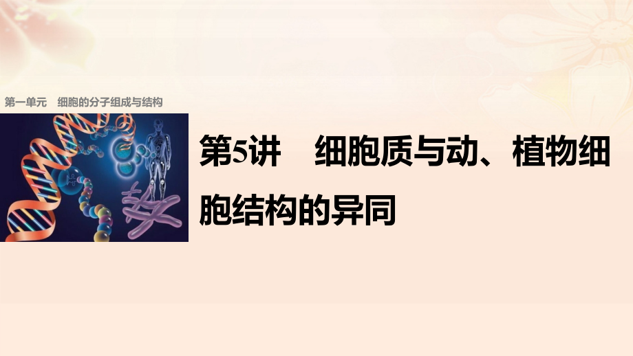 高考生物总复习 第单元 细胞的分子组成与结构 第讲 细胞质与动、植物细胞结构的异同课件_第1页