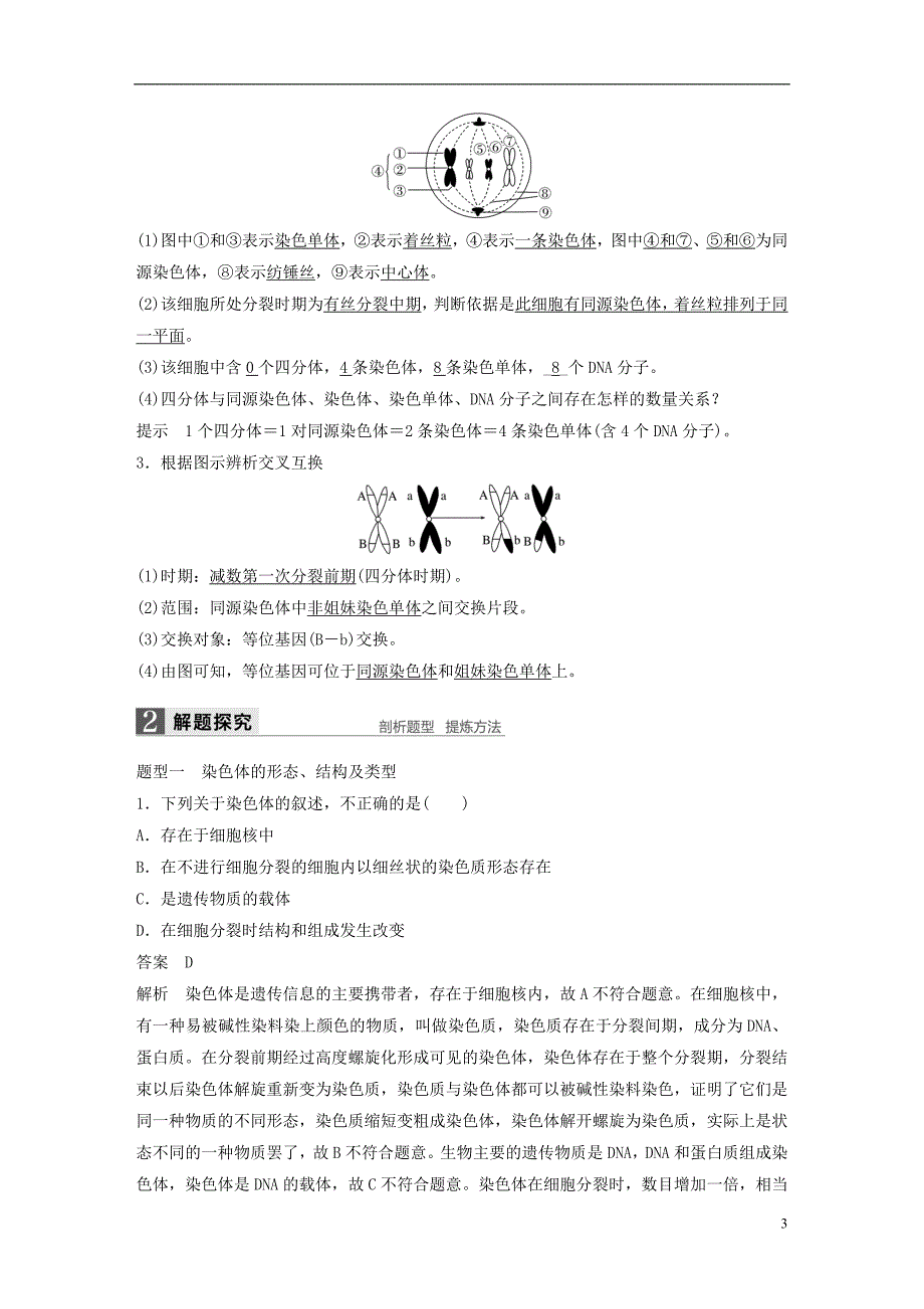 高考生物总复习 第单元 细胞的生命历程 第讲 减数分裂中的染色体行为_第3页