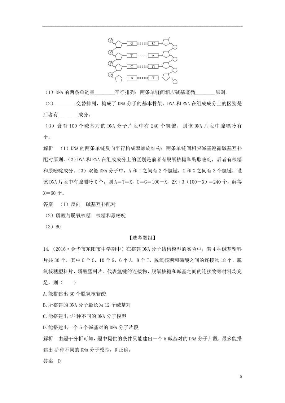 高考生物总复习 专题 遗传的分子基础 第讲 DNA分子的结构与复制_第5页