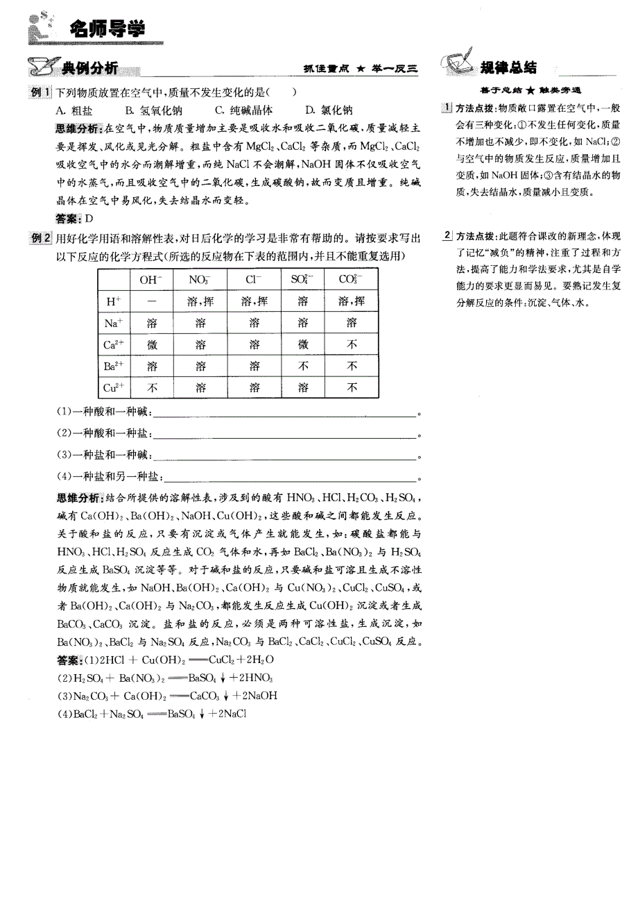 九年级化学 第十章第二节 盐的性质学案（图片版） 北京课改版_第2页